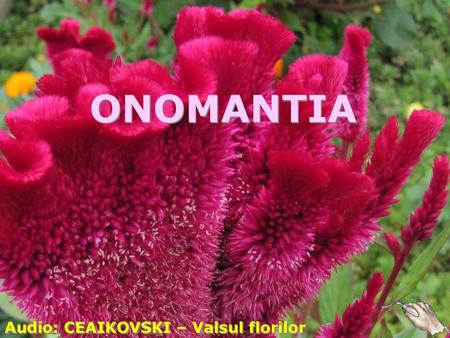 ONOMANTIA Audio: CEAIKOVSKI – Valsul florilor.