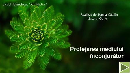 Protejarea mediului înconjurător Liceul Tehnologic “Ion Nistor”