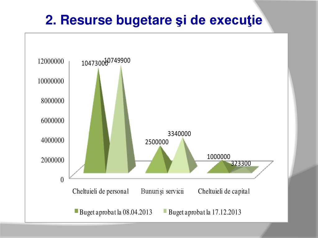 2. Resurse bugetare şi de execuţie
