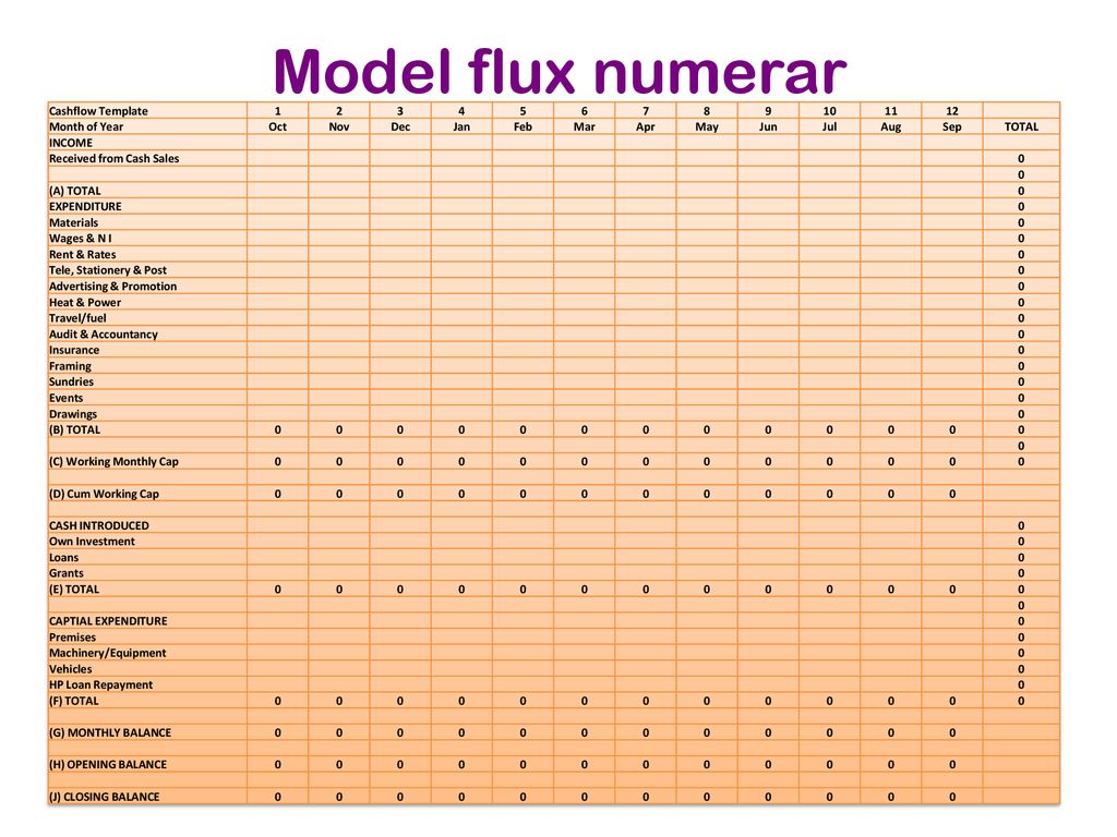 Model flux numerar Cashflow Template