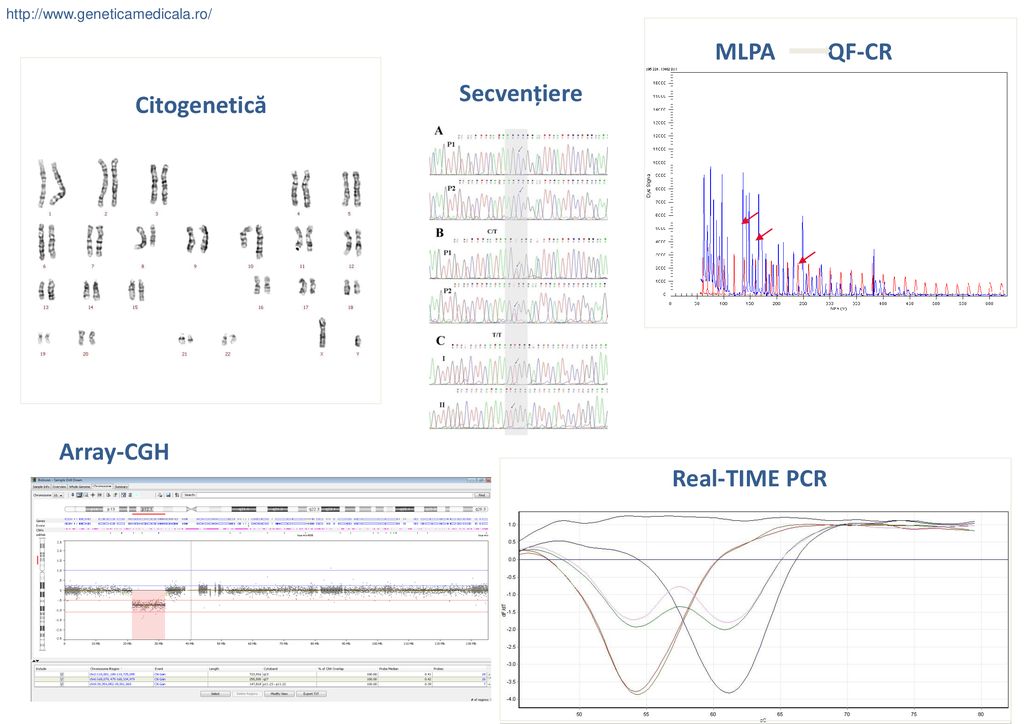 Secvențiere Citogenetică Array-CGH Real-TIME PCR