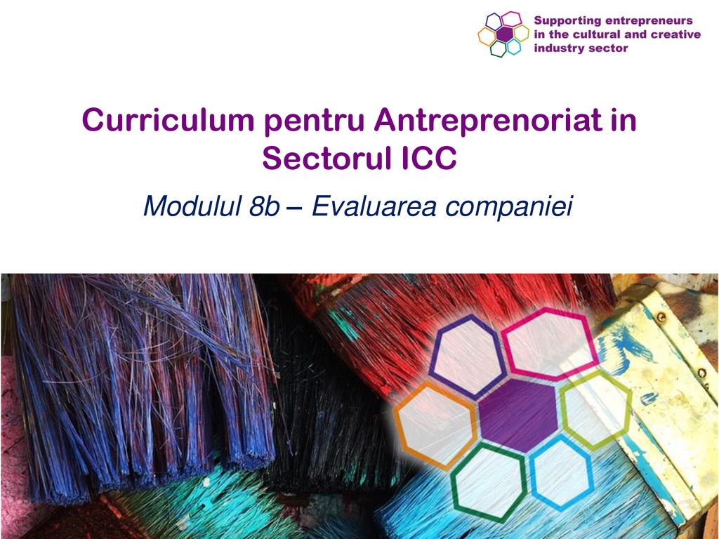 Curriculum pentru Antreprenoriat in Sectorul ICC