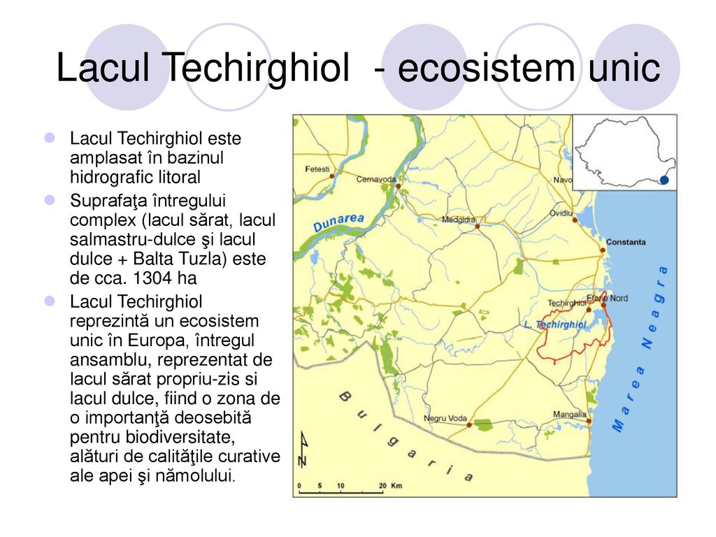 Lacul Techirghiol - ecosistem unic