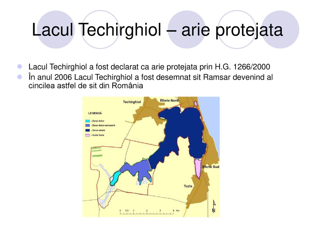 Lacul Techirghiol – arie protejata