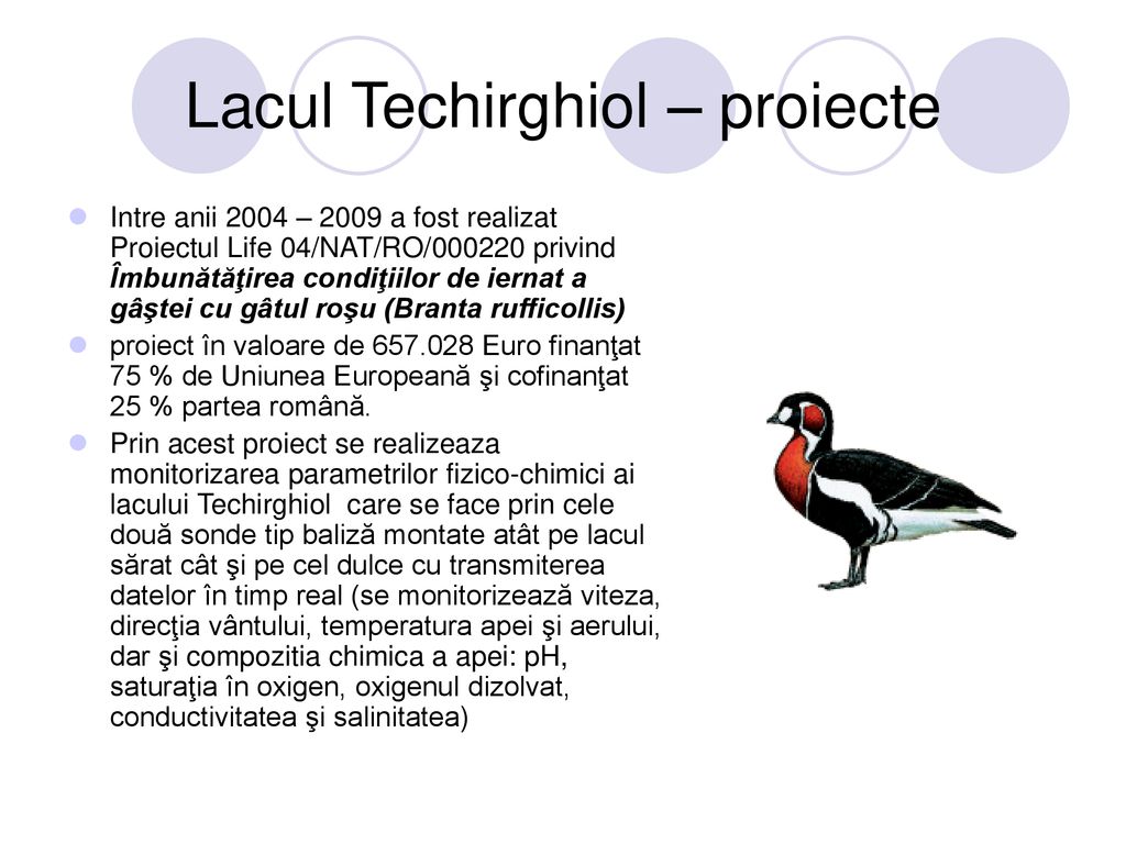 Lacul Techirghiol – proiecte