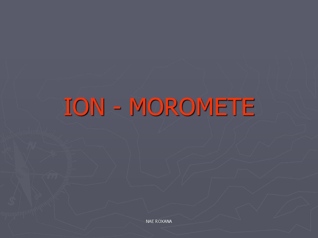 ION - MOROMETE NAE ROXANA
