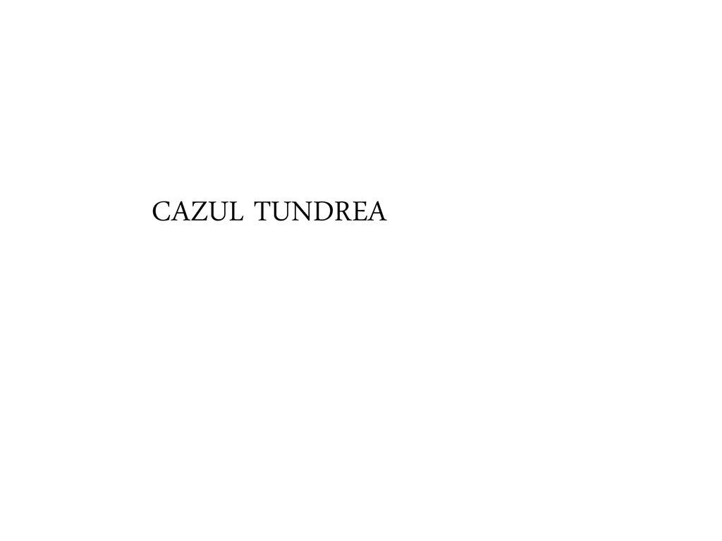 CAZUL TUNDREA