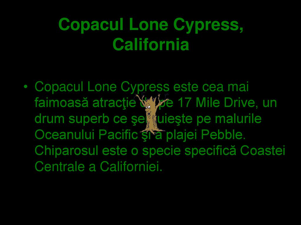Copacul Lone Cypress, California