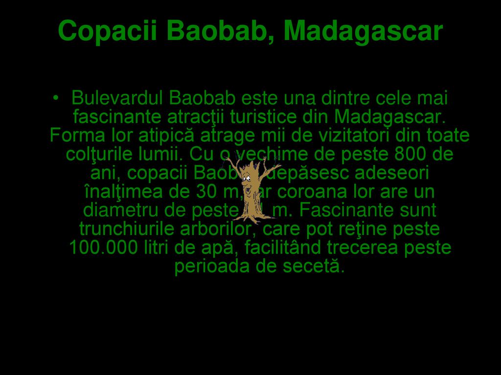 Copacii Baobab, Madagascar