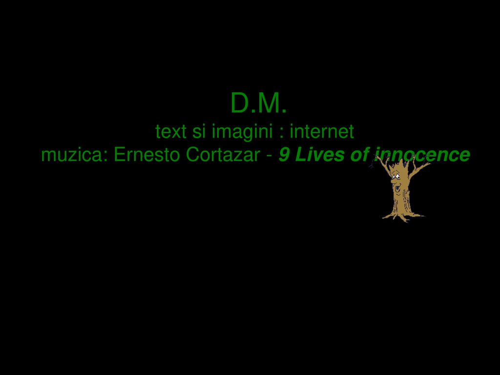 D.M. text si imagini : internet muzica: Ernesto Cortazar - 9 Lives of innocence