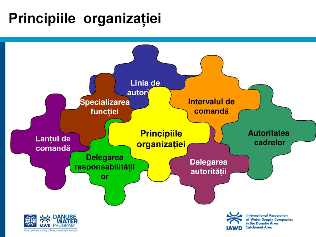 Principiile organizației