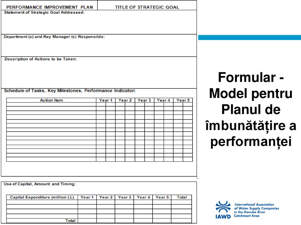 Formular - Model pentru Planul de îmbunătățire a performanței