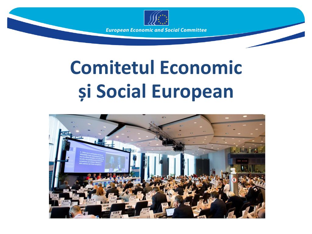 Comitetul Economic și Social European