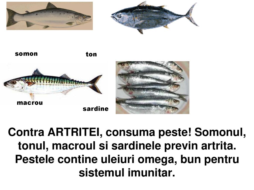 somon ton. macrou. sardine.