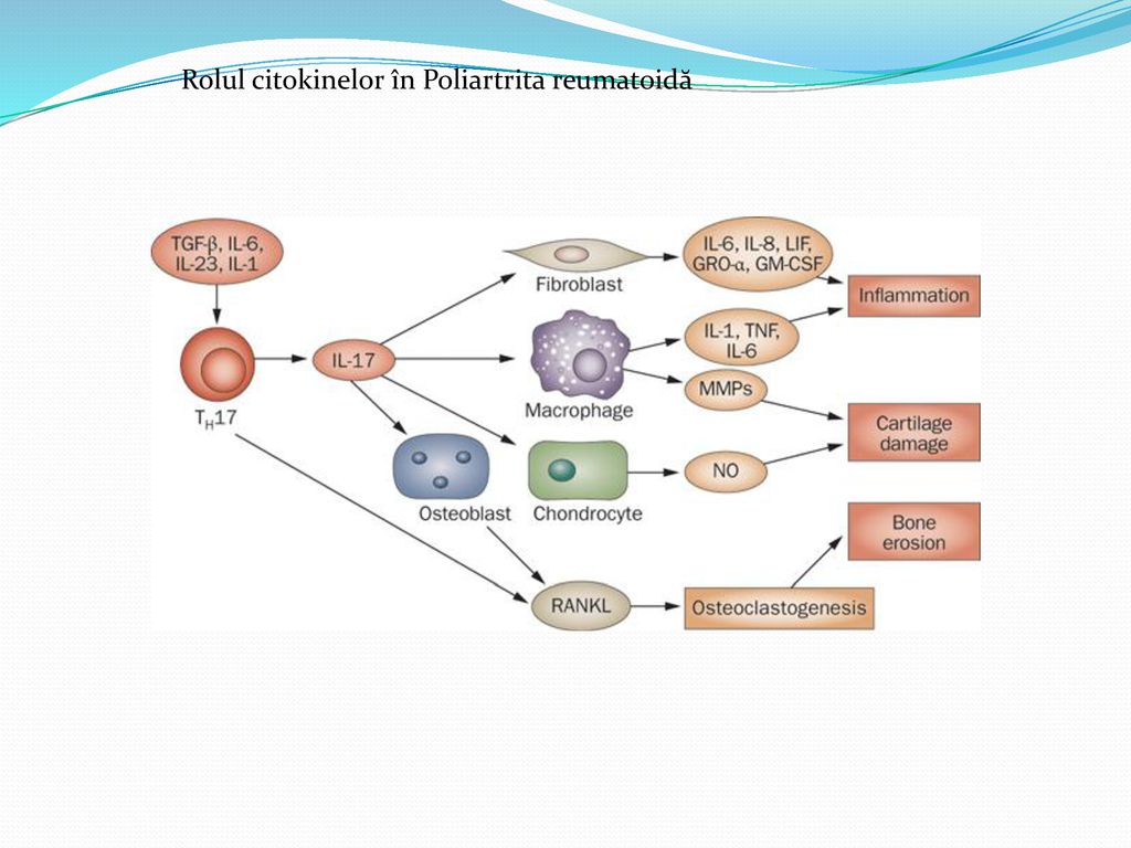 Rolul citokinelor în Poliartrita reumatoidă