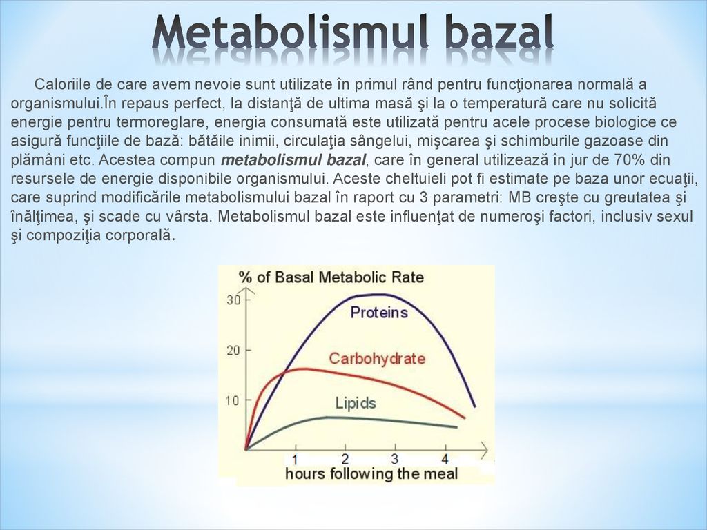 Metabolismul bazal