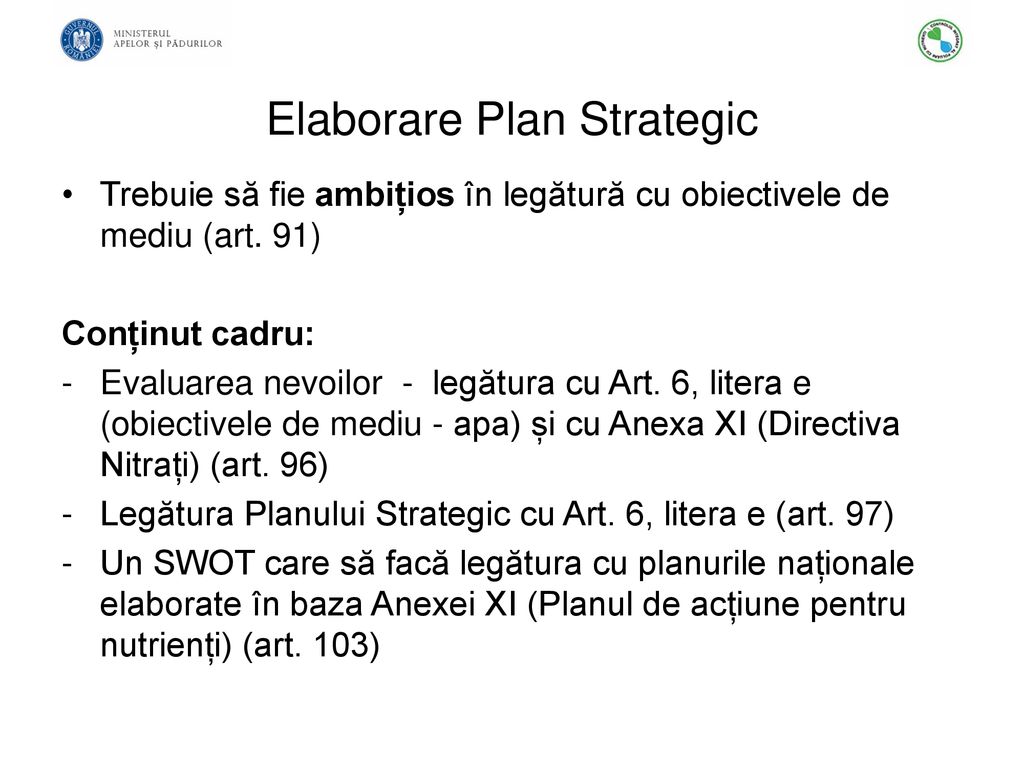 Elaborare Plan Strategic