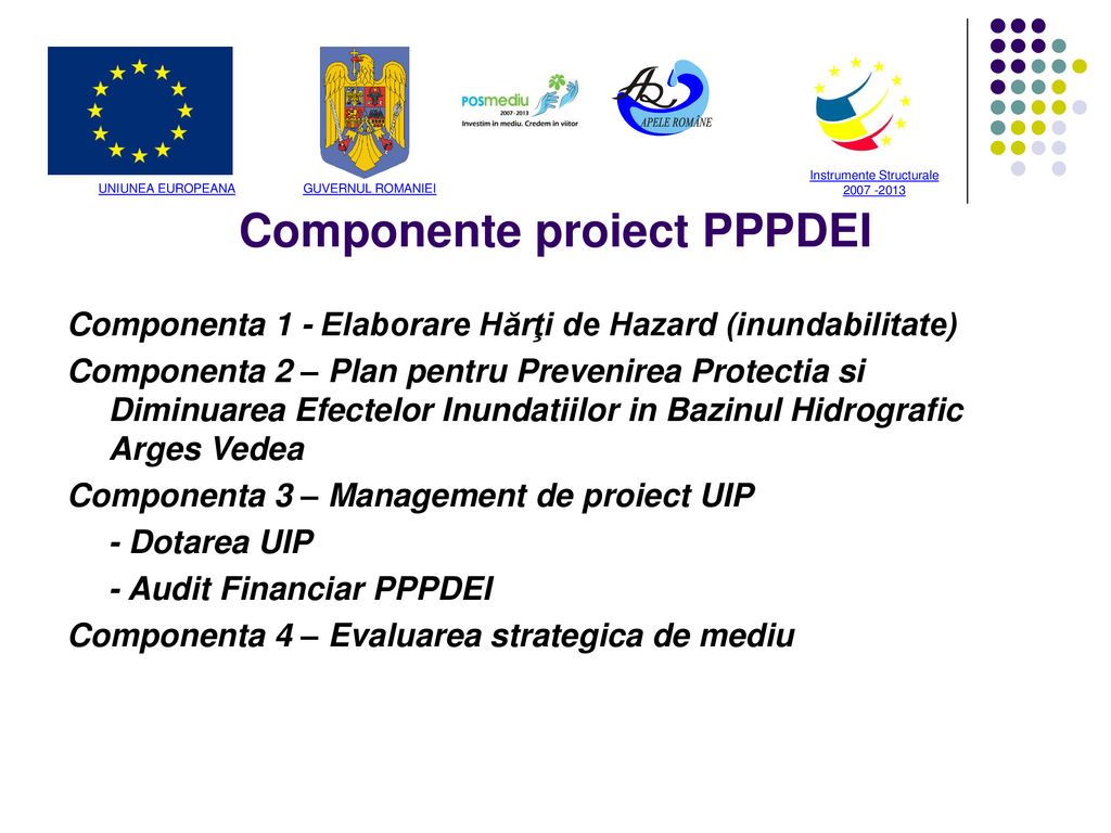 Componente proiect PPPDEI