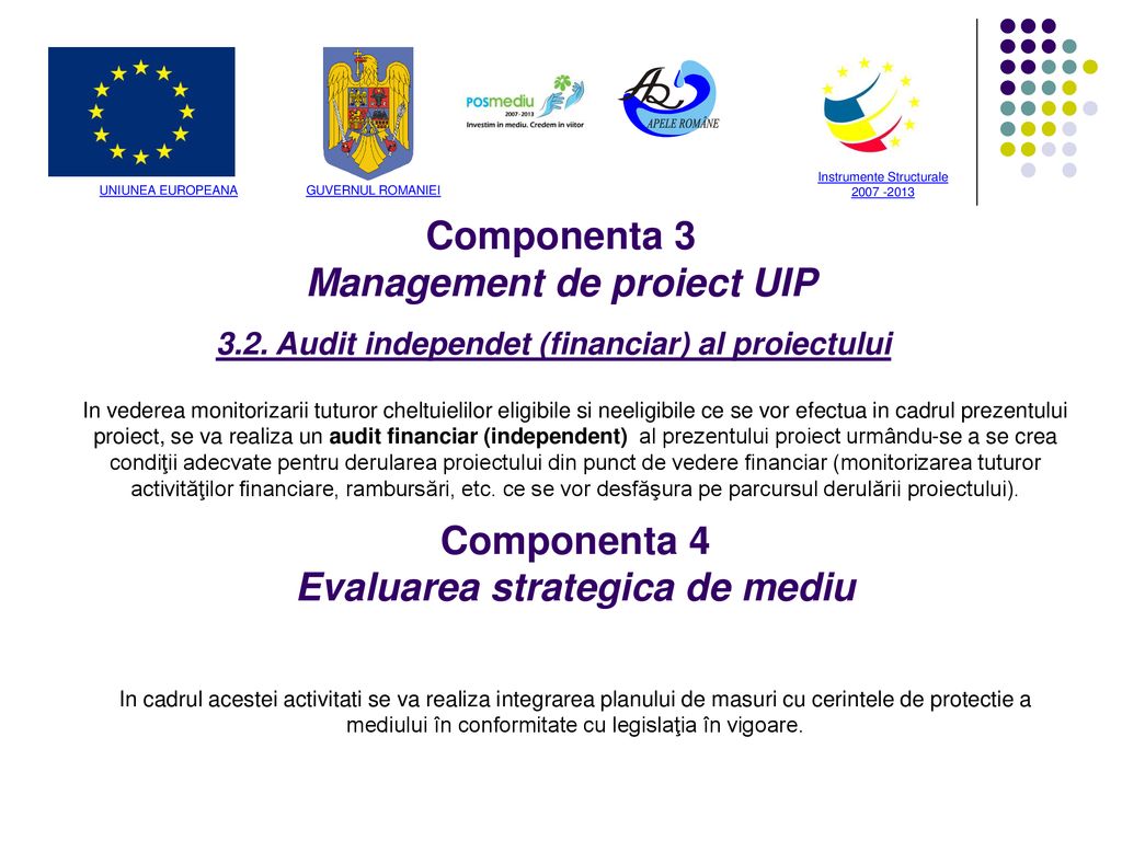 Componenta 3 Management de proiect UIP