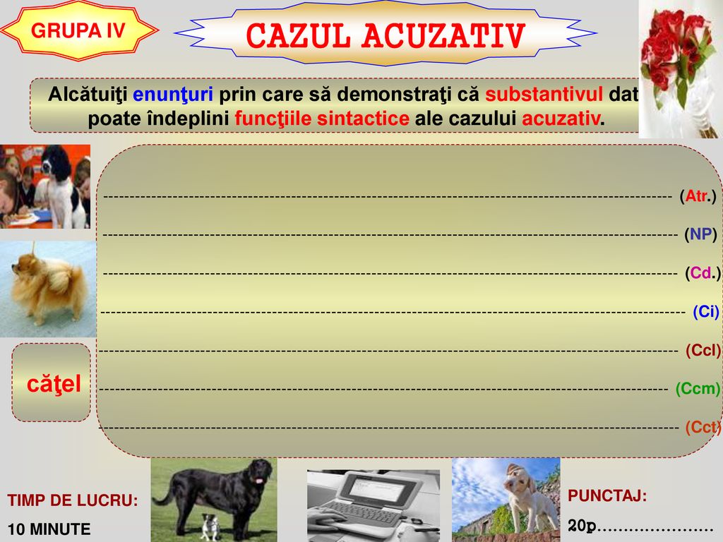 CAZUL ACUZATIV GRUPA IV