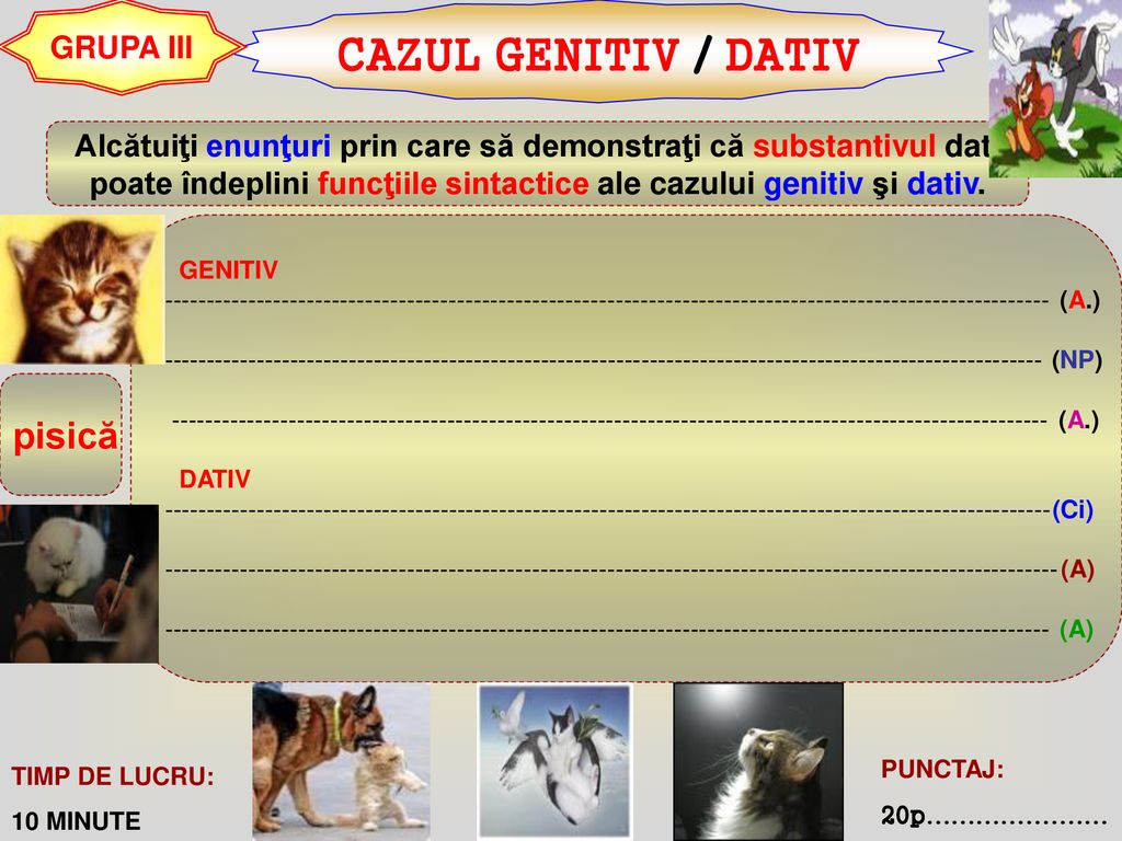 CAZUL GENITIV / DATIV GRUPA III