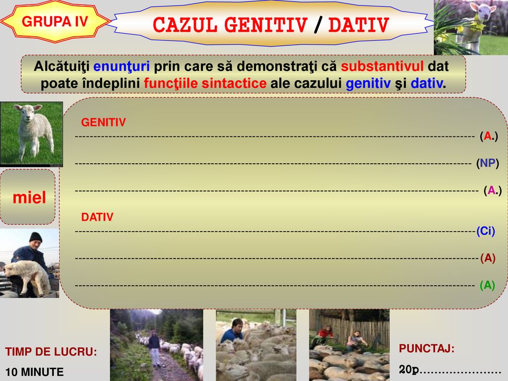 CAZUL GENITIV / DATIV GRUPA IV