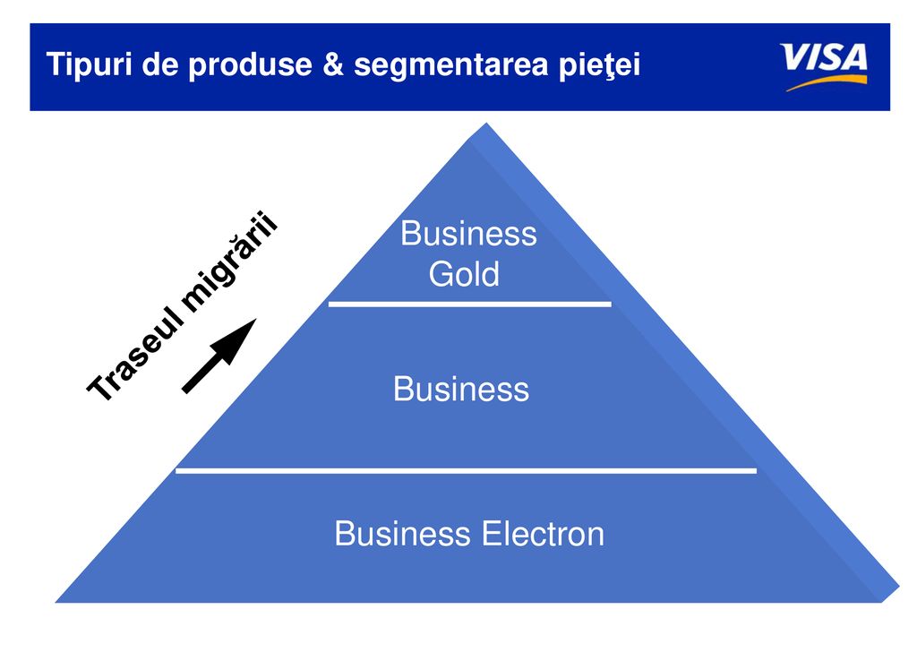 Tipuri de produse & segmentarea pieţei