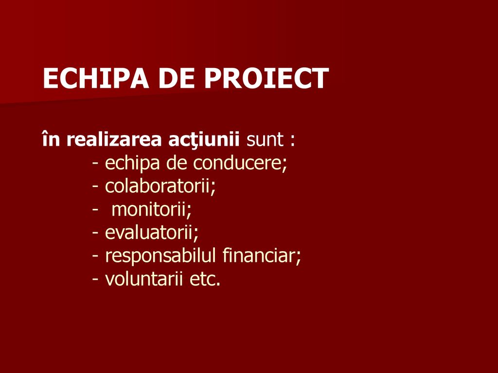 ECHIPA DE PROIECT în realizarea acţiunii sunt : - echipa de conducere; - colaboratorii; - monitorii; - evaluatorii; - responsabilul financiar; - voluntarii etc.