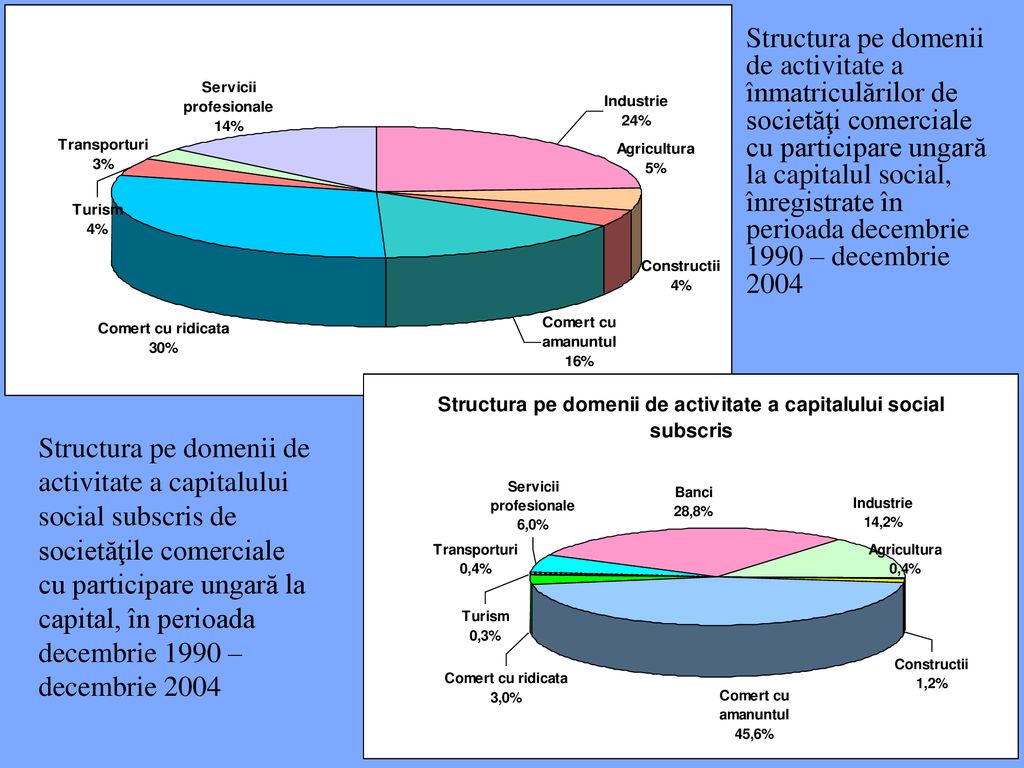 Structura pe domenii de activitate a înmatriculărilor de societăţi comerciale cu participare ungară la capitalul social, înregistrate în perioada decembrie 1990 – decembrie 2004