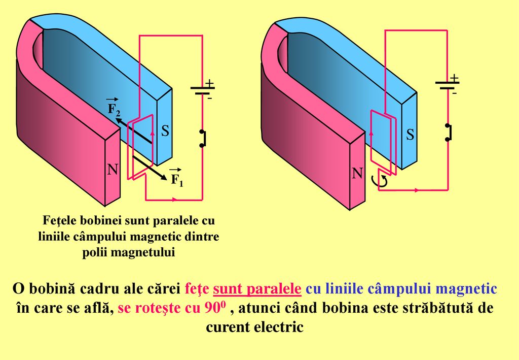 S - S. N. + N. + - F2. F1. Feţele bobinei sunt paralele cu liniile câmpului magnetic dintre polii magnetului.