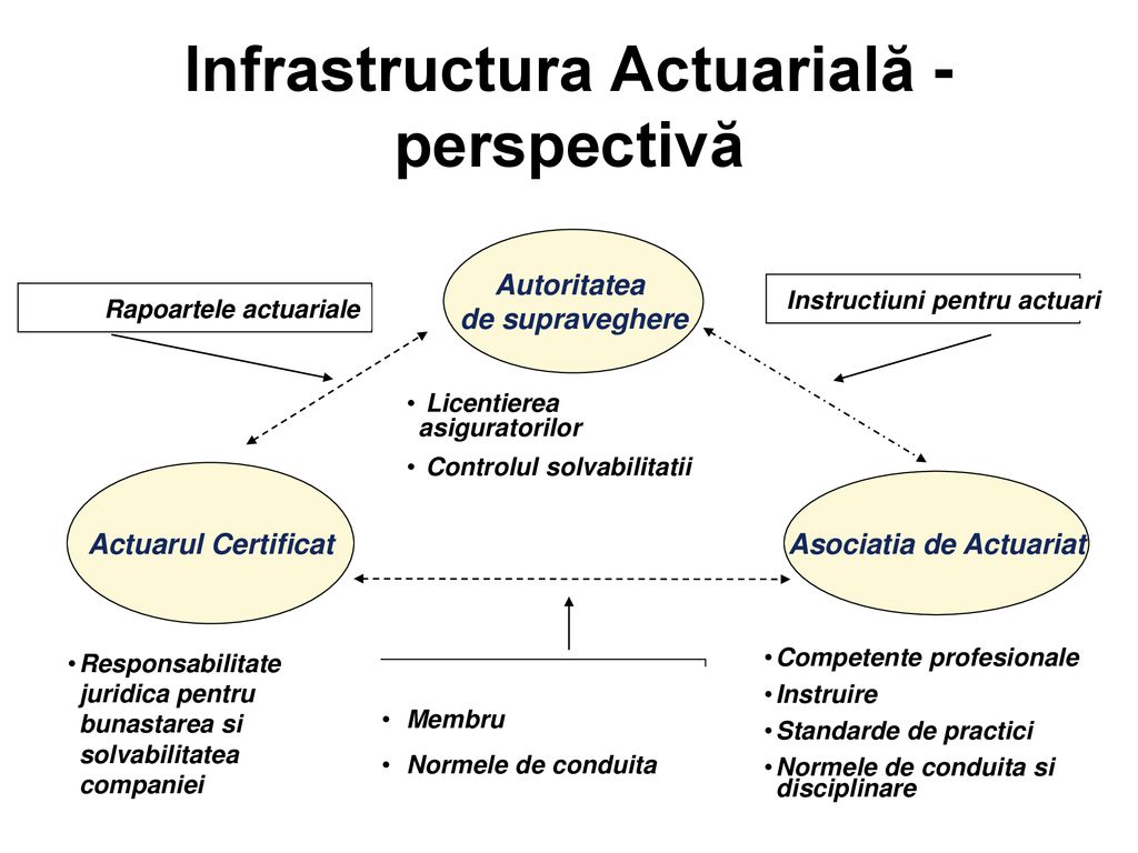 Infrastructura Actuarială - perspectivă
