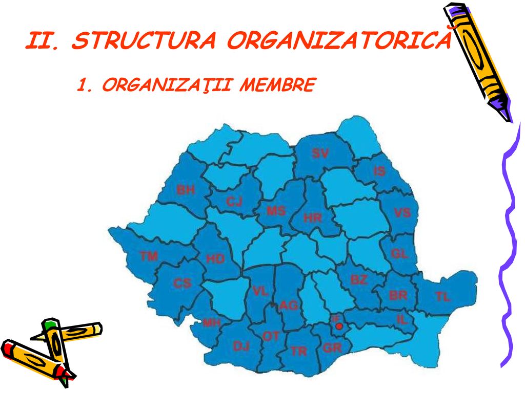 II. STRUCTURA ORGANIZATORICĂ
