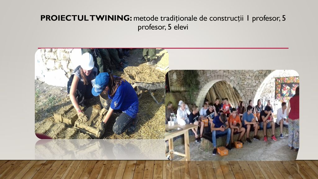 Proiectul Twining: metode tradiționale de construcții 1 profesor, 5 elevi