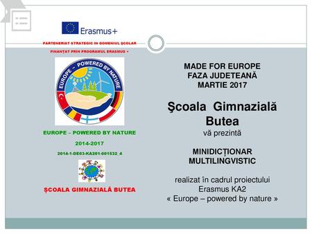 MADE FOR EUROPE FAZA JUDETEANĂ MARTIE 2017 Şcoala Gimnazială Butea