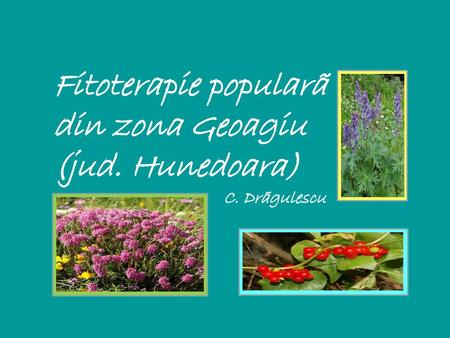 Fitoterapie popularã din zona Geoagiu (jud. Hunedoara) C. Drãgulescu