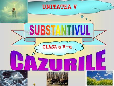 UNITATEA V SUBSTANTIVUL CLASA a V-a CAZURILE.