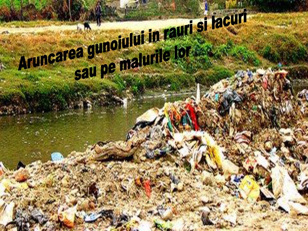 Aruncarea gunoiului in rauri si lacuri