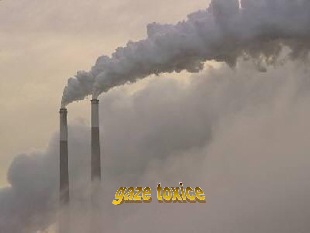gaze toxice