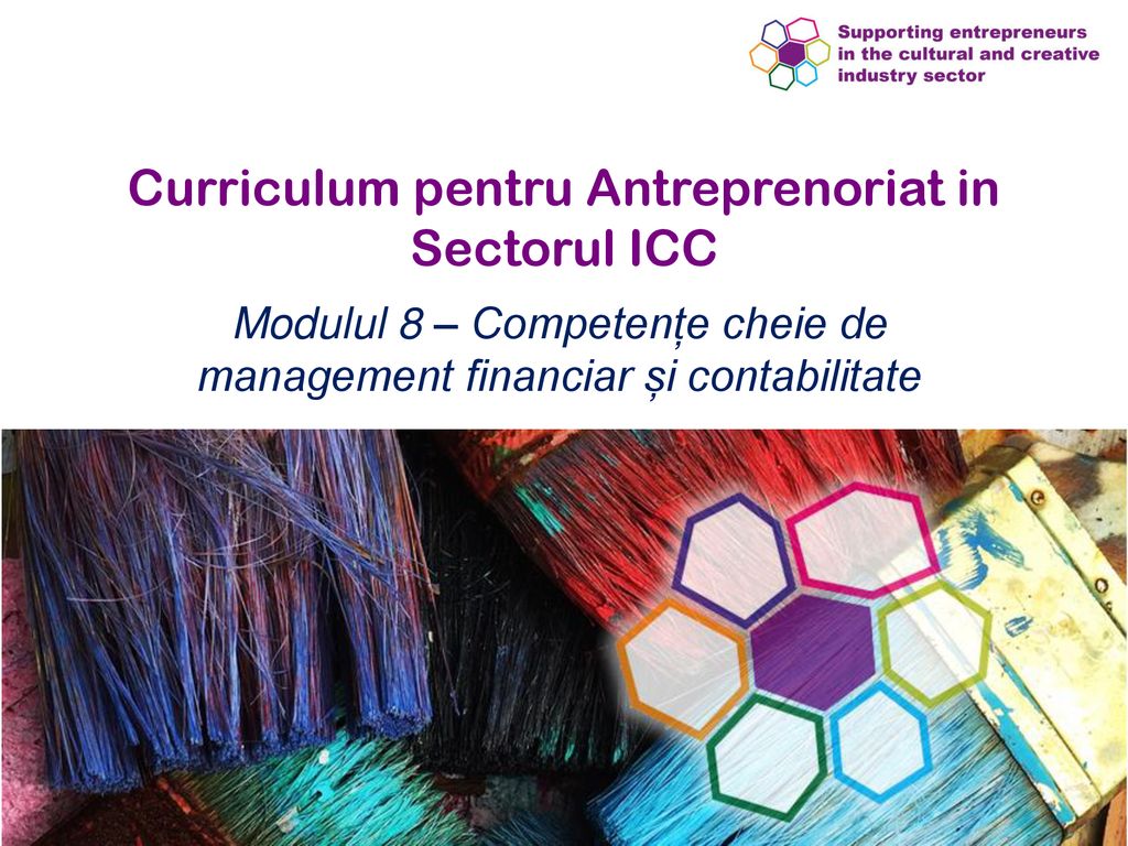 Curriculum pentru Antreprenoriat in Sectorul ICC