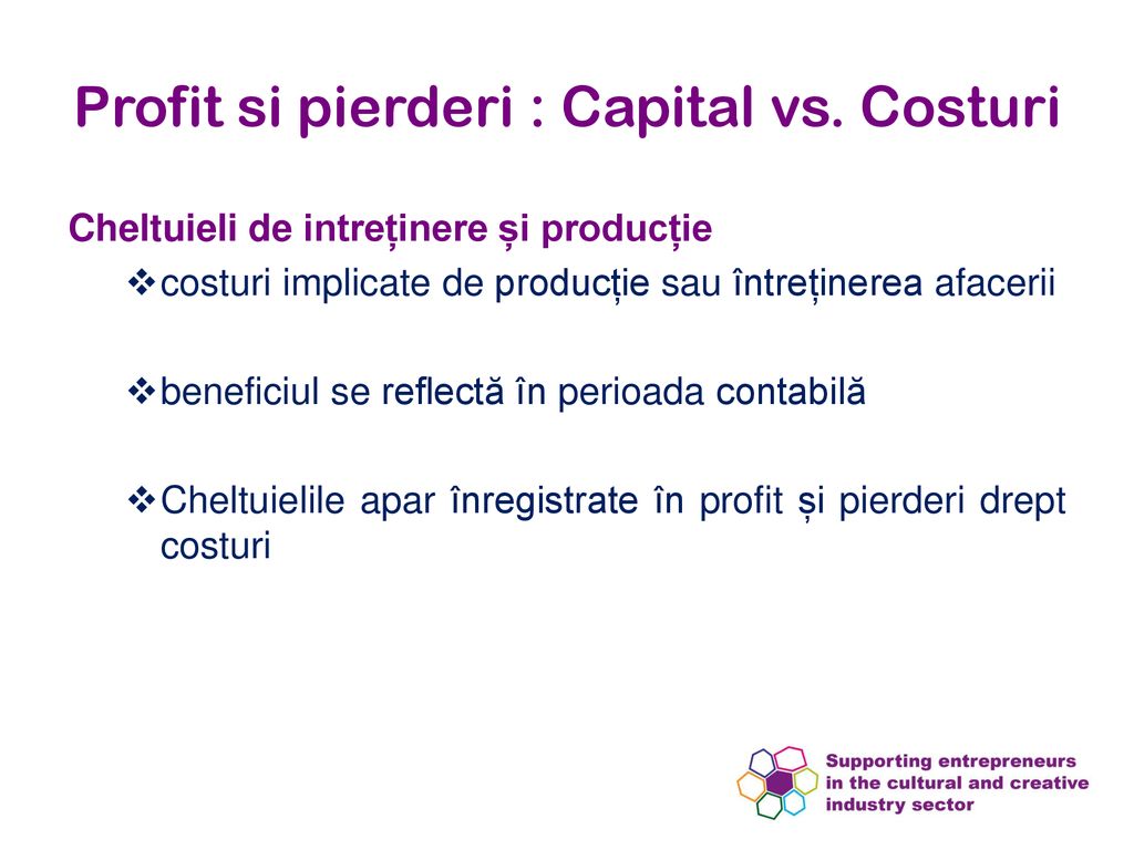 Profit si pierderi : Capital vs. Costuri