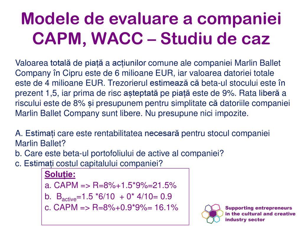 Modele de evaluare a companiei CAPM, WACC – Studiu de caz