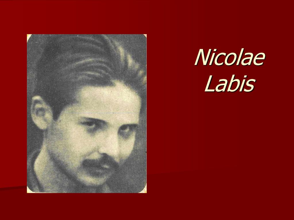 Nicolae Labis