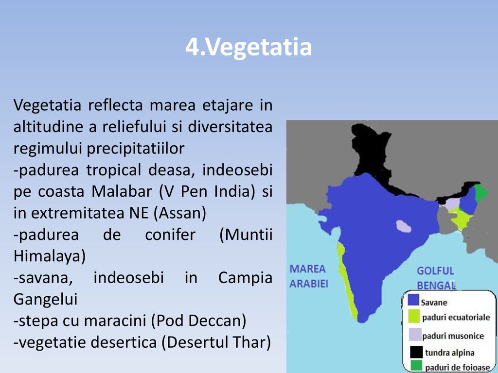4.Vegetatia Vegetatia reflecta marea etajare in altitudine a reliefului si diversitatea regimului precipitatiilor.