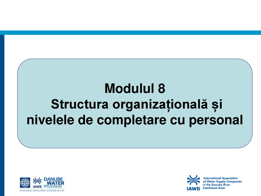 Modulul 8 Structura organizațională și nivelele de completare cu personal