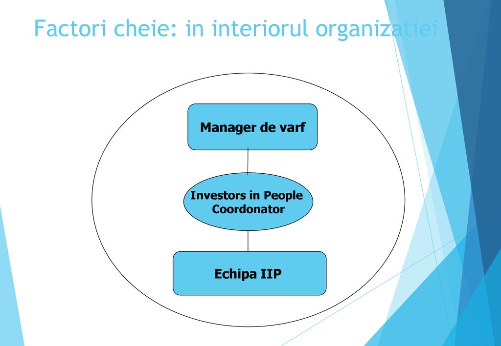 Factori cheie: in interiorul organizatiei
