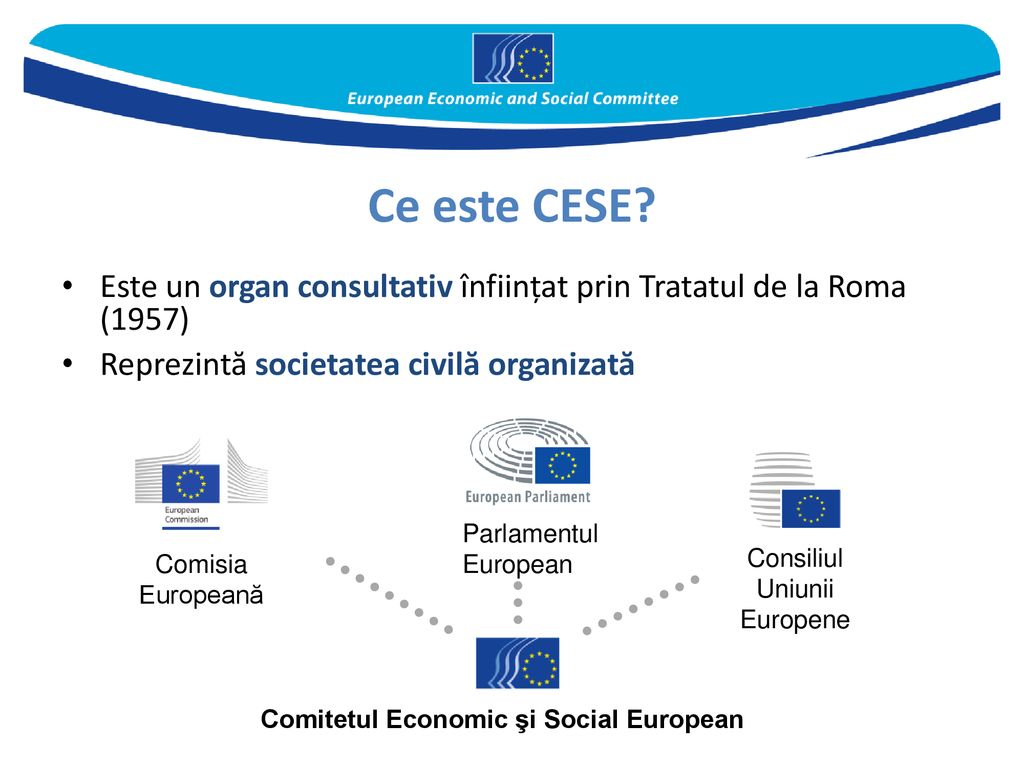 Comitetul Economic şi Social European