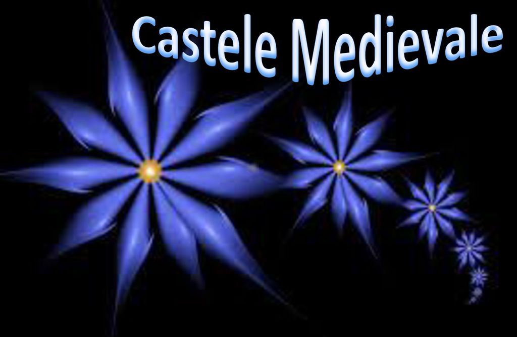 Castele Medievale