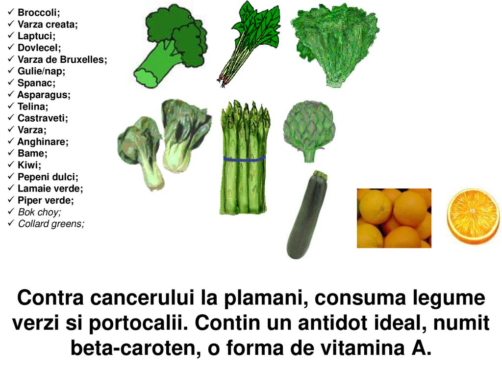 Broccoli; Varza creata; Laptuci; Dovlecel; Varza de Bruxelles; Gulie/nap; Spanac; Asparagus; Telina;
