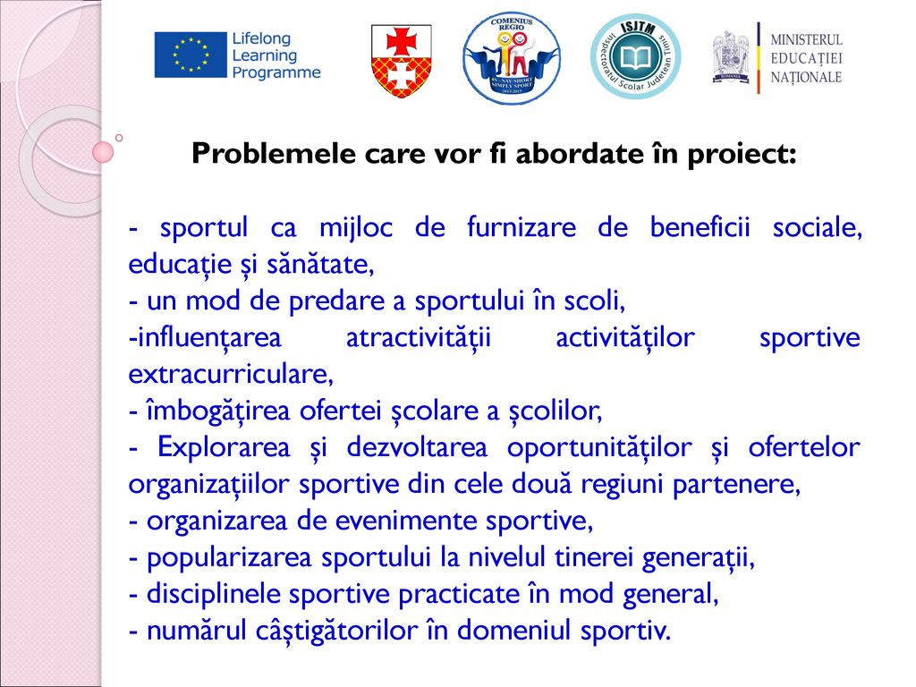 Problemele care vor fi abordate în proiect: