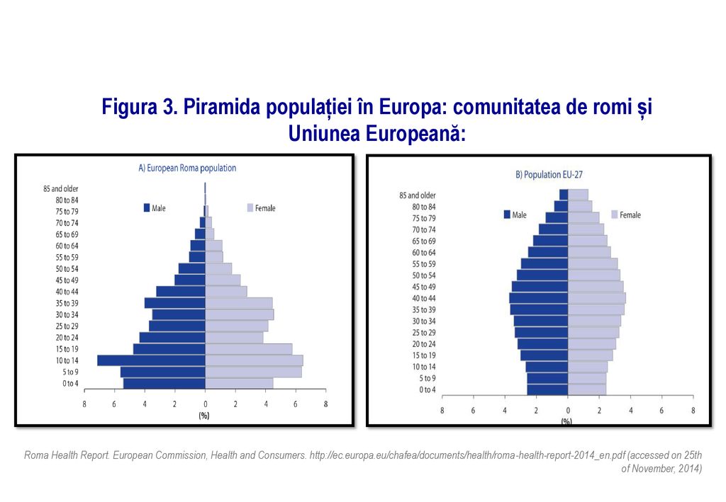 Figura 3. Piramida populației în Europa: comunitatea de romi și Uniunea Europeană: